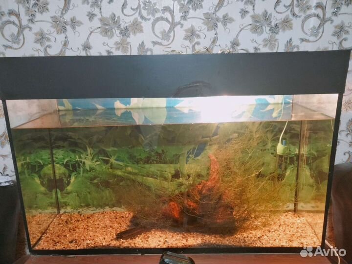 Аквариум 140 литров