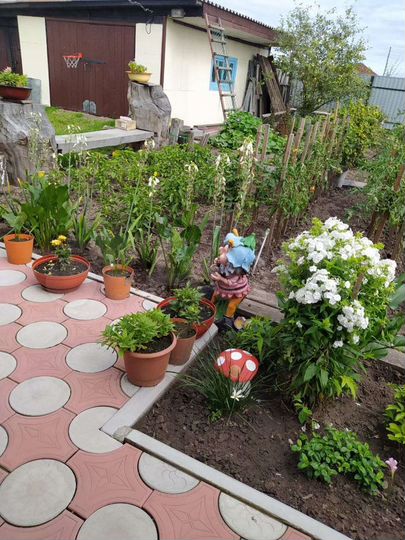 Дом 67 м² на участке 12 сот.