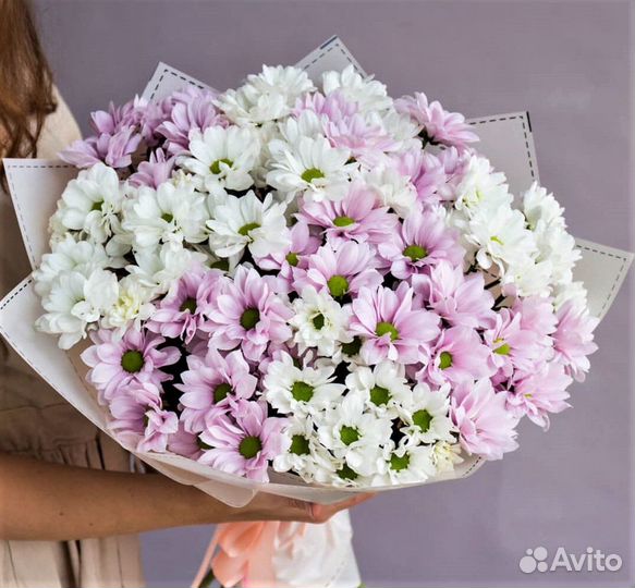 Хризантема с доставкой