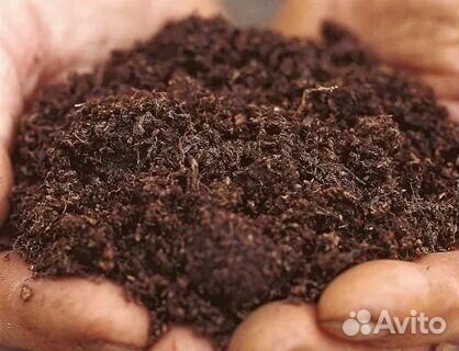 Торф верхний