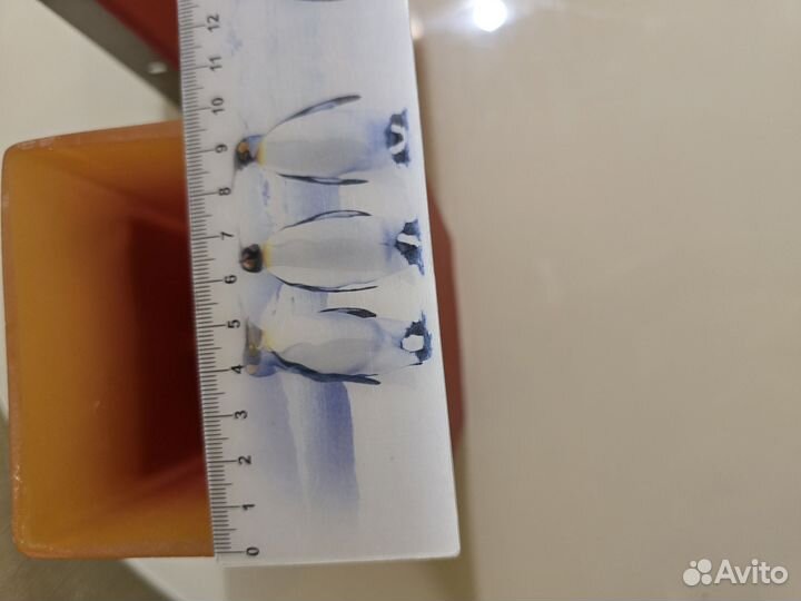 Светильники настенные