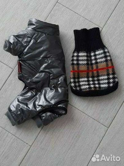 Комбинезон для маленькой собачки