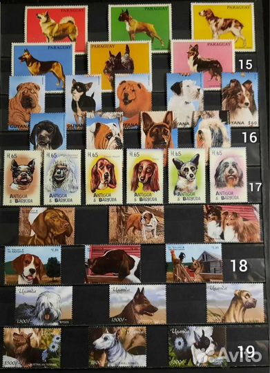 Коллекция Фауна 60-90х 5 (чистые)