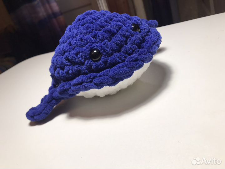 Синий китенок