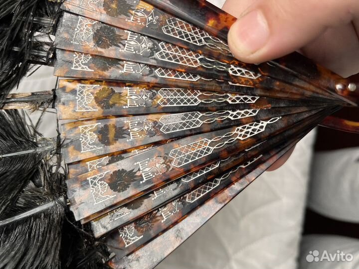 Веер черепаха