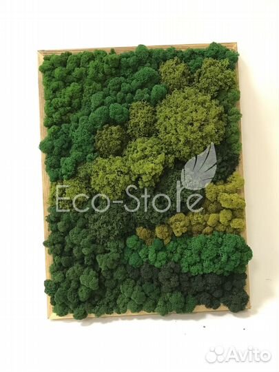 Панно микс мха