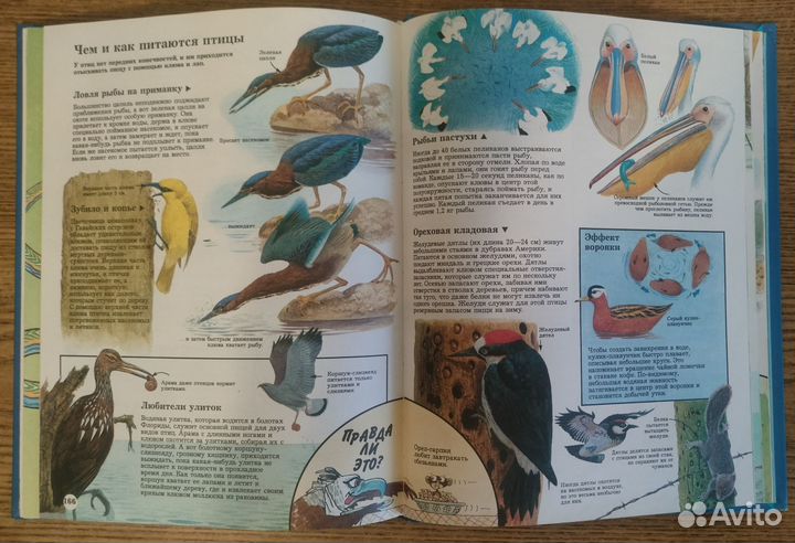 Энциклопедия 