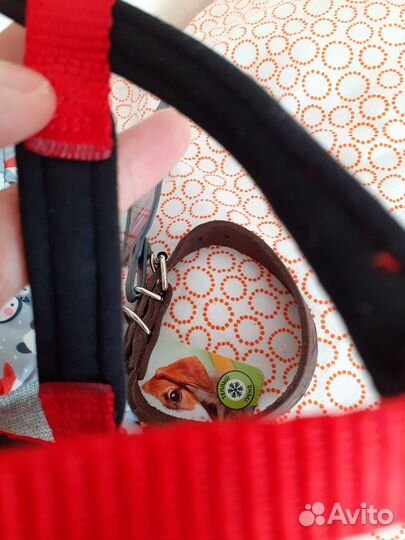 Новые: комбинезон+ошейник