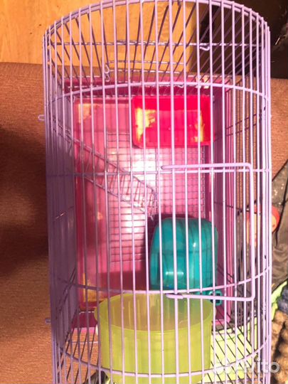 Клетка для грызунов