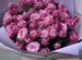 Премиум букет кустовых пионовидных роз Бомбастик