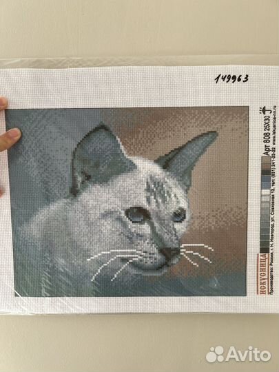 Канва с рисунком для вышивания