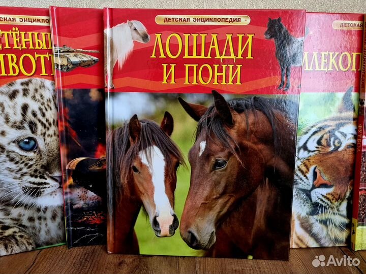 Детская энциклопедия росмэн