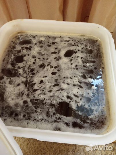 Предзаказ на алтайский мёд, беспл. доставка от 1 л