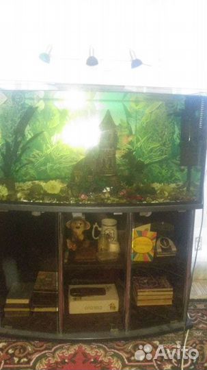 Аквариум