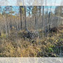 Участок 19,2 сот. (ИЖС)