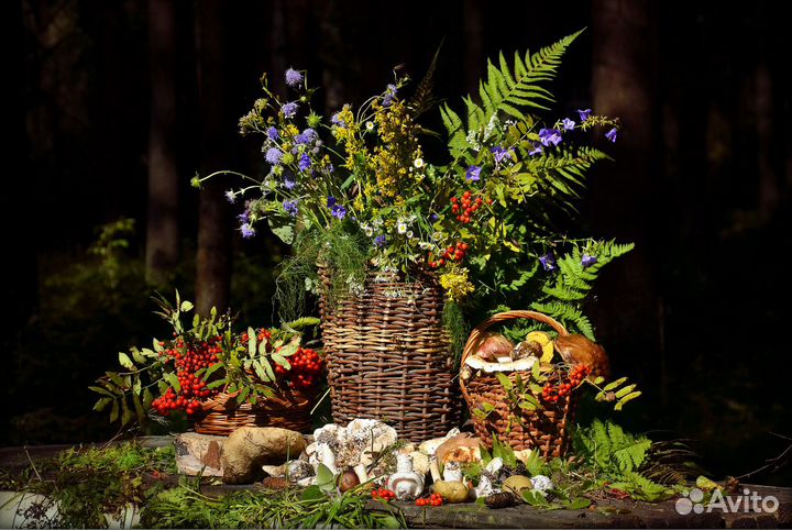 Кормушка для птиц. Дары Леса +. Мини-Копошилка