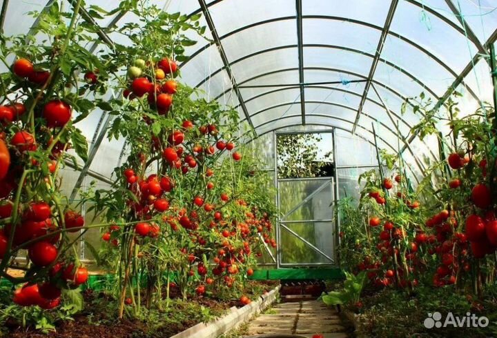 Сотовый поликарбонат