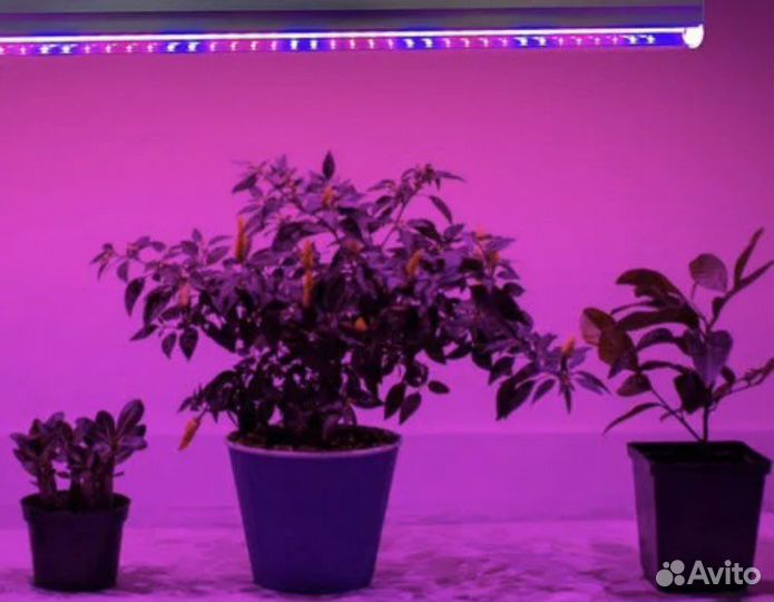 Фитосветильник для растений