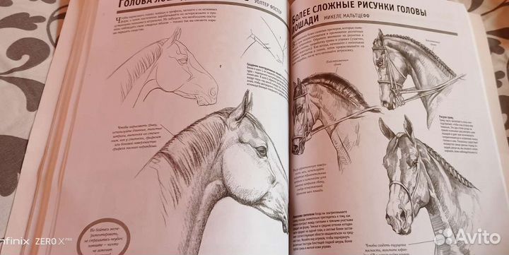 Книга Основы рисования