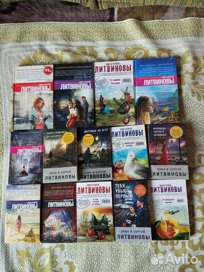 Художественные книги А.и С. Литвиновых