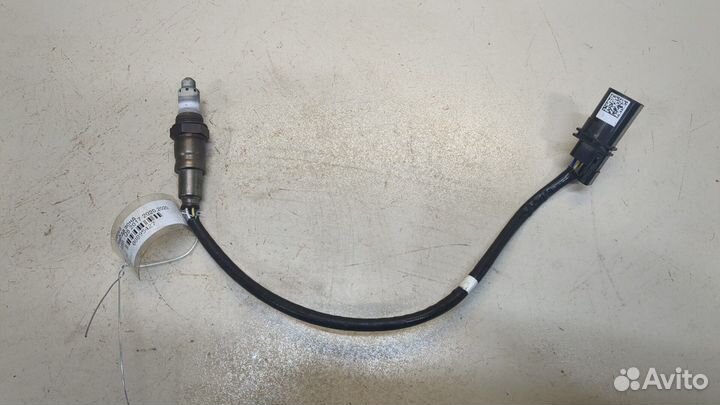 Лямбда зонд Audi Q5, 2020