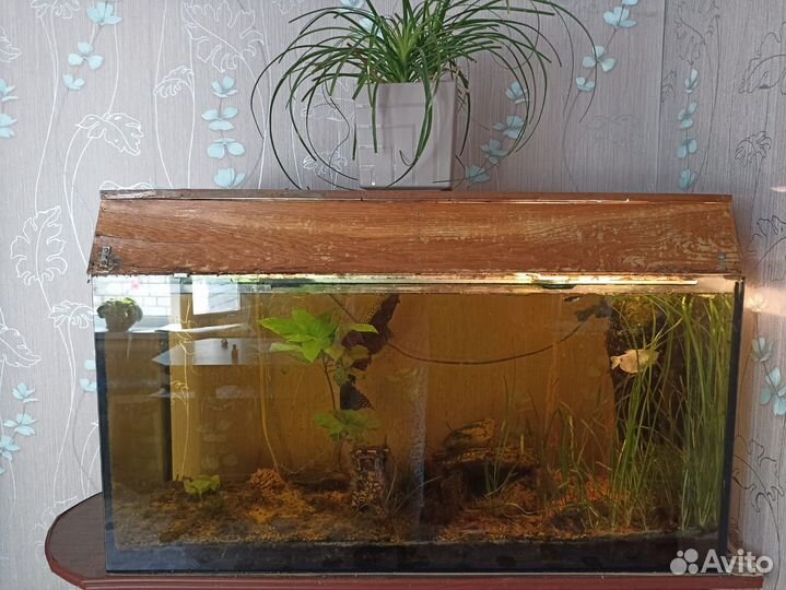 Аквариум с фильтром и светом 95х45х36