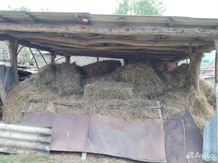 Сено в тюках