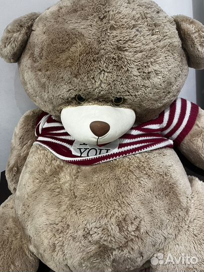 Большой мишка