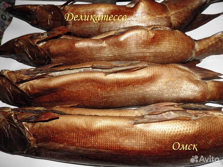 Щука Окунь Язь копчение горячее и холодное