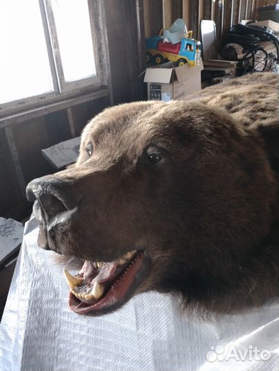 Шкура медведя имитация