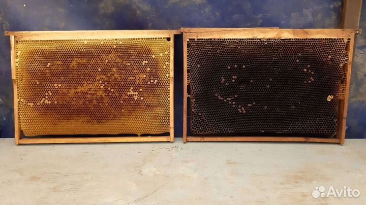 Рамки с сушью