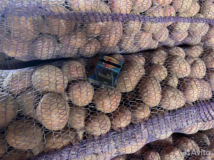 Продам картофель