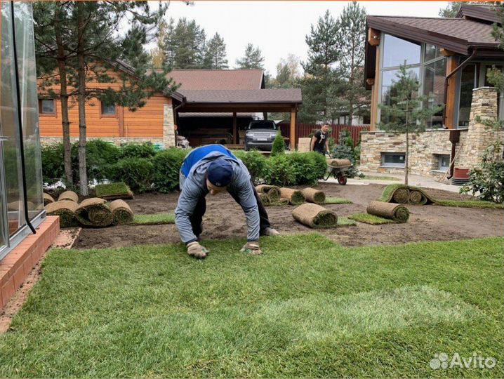 Рулонный газон