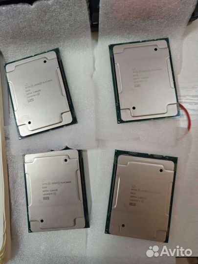 Процессор intel xeon platinum 8256