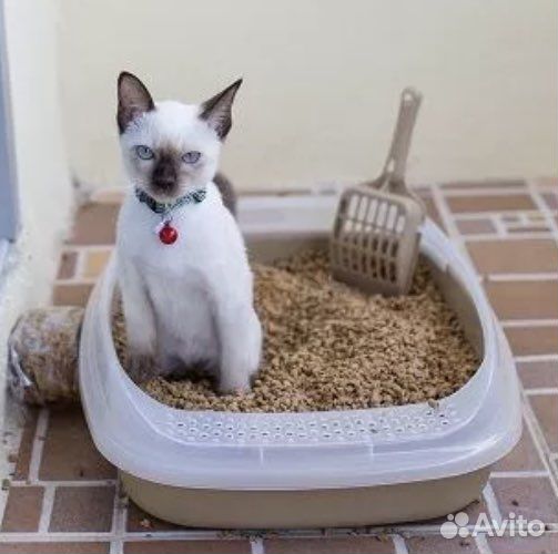 Наполнитель для ваших Питомцев