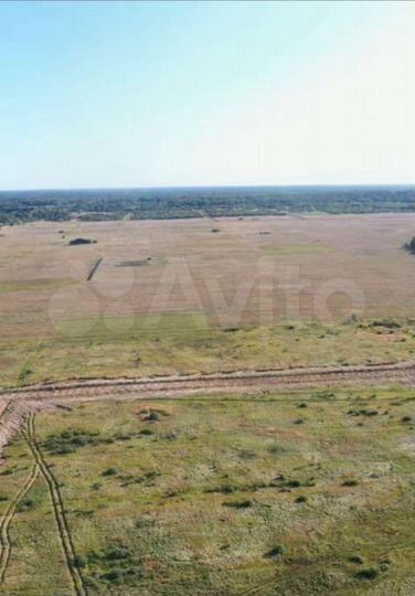 Участок 100 сот. (СНТ, ДНП)