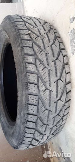 Tigar Winter 205/65 R16 95H