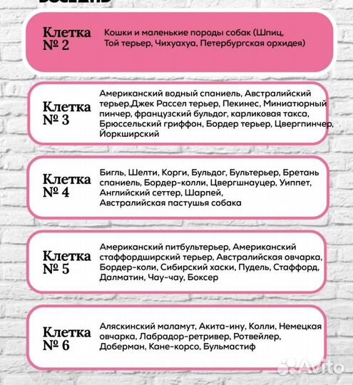 Аренда клетки для собак