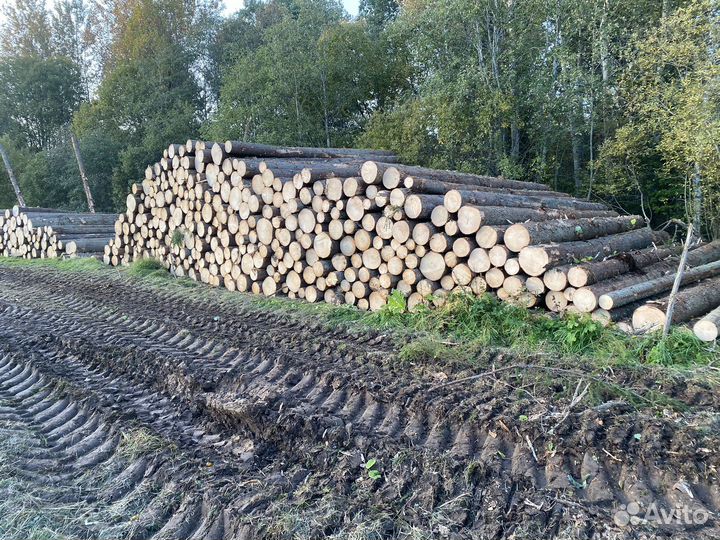 Продам лес пиловочник, 2 сорт, тонкомер,технуха
