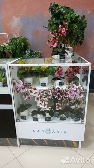 Искусственные растения