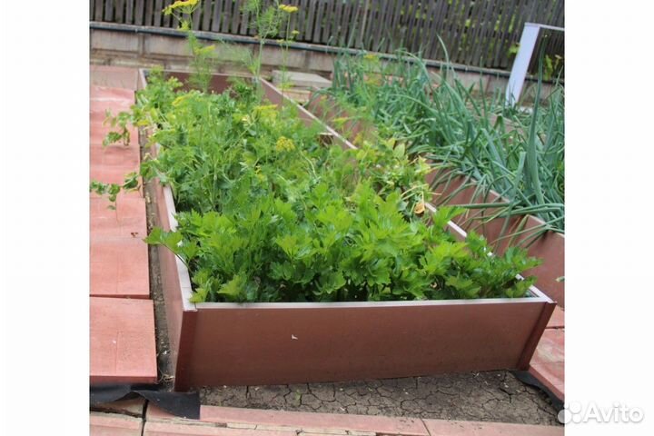 Грядки Даяс цвет 