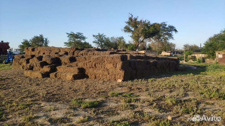 Тюки гороховая солома