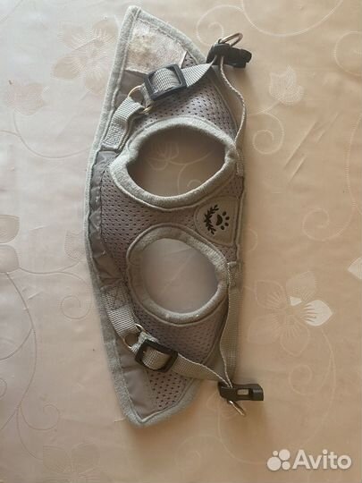 Шлейка для маленькой собаки