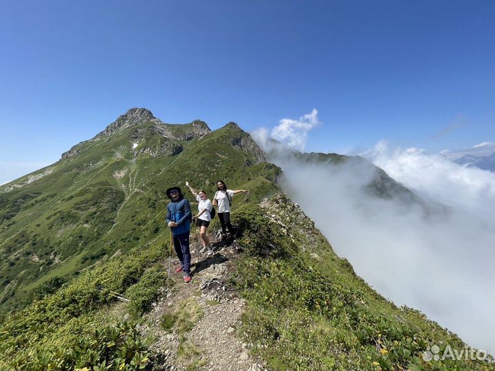 Гид. Сочи. Красная поляна. Экскурсии