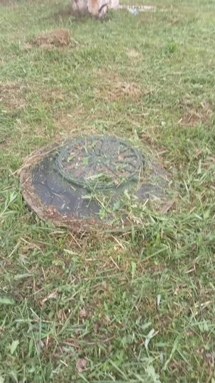 Участок 10 сот. (СНТ, ДНП)