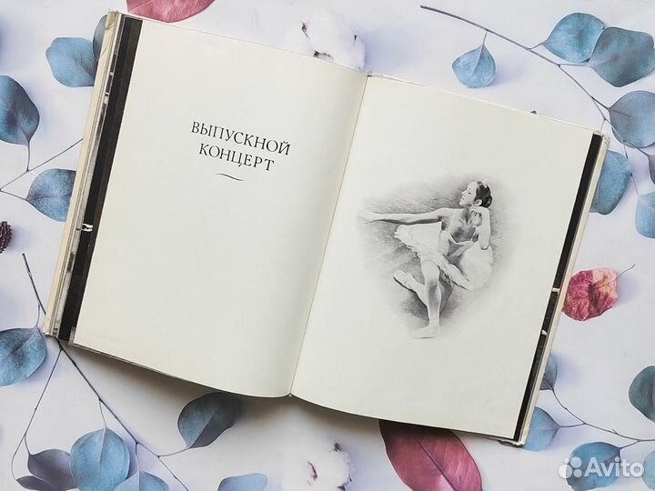 Иллюстрированный альбом: Школа Большого театра