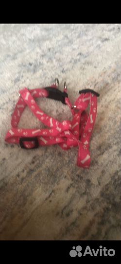 Шлейка для мелких пород собак