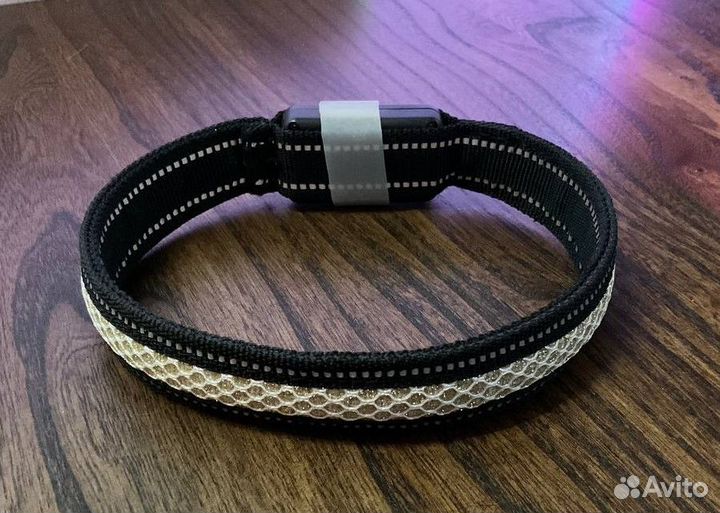 Амуниция и вещи для собаки