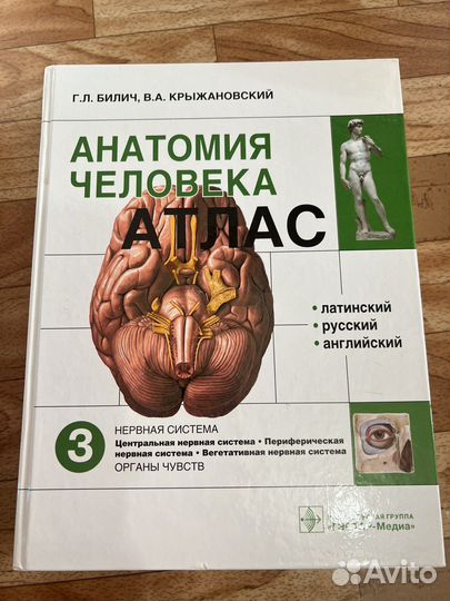 Атлас анатомии человека