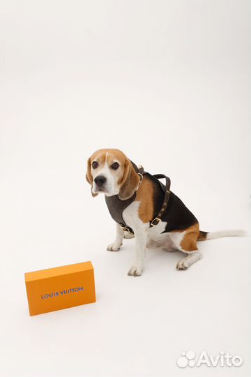 Шлейка кожаная Louis Vuitton для собак